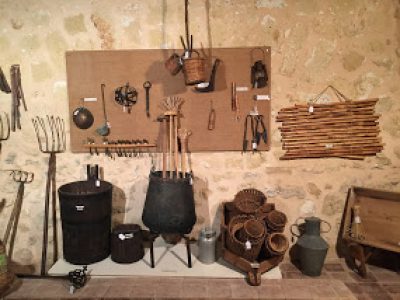 museo-buccellato